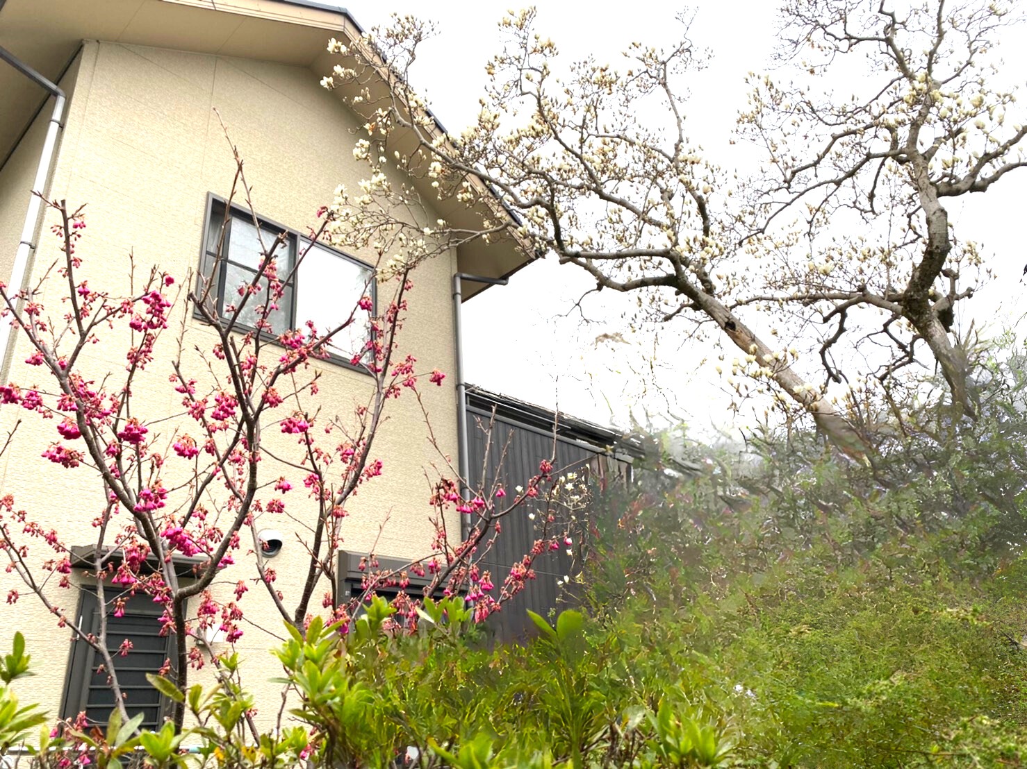 Le Port（ ルポール）